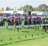 Morphettville Racecourse - Accommodation Mount Tamborine