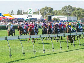 Morphettville Racecourse - Accommodation Mount Tamborine 0