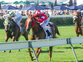 Morphettville Racecourse - Accommodation Mount Tamborine 2