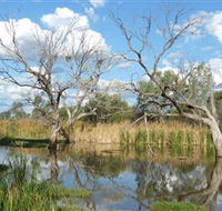 Lagoon Creek - Accommodation Mount Tamborine