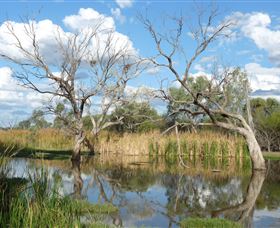 Lagoon Creek - Accommodation Mount Tamborine 0