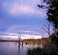 Loch Luna Game Reserve and Moorook Game Reserve - Accommodation Mount Tamborine