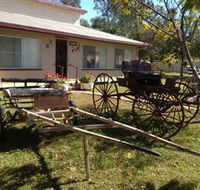 Mr and Mrs Behan Sulky Display - Accommodation Mount Tamborine