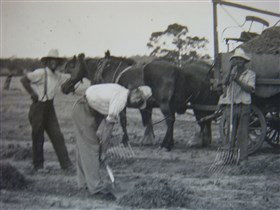 Platform 1 Heritage Farm Railway - Accommodation Mount Tamborine 3