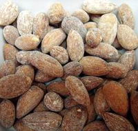 Almondco Almond Hut - Accommodation Mount Tamborine