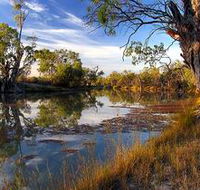 Murray River National Park - Accommodation Mount Tamborine