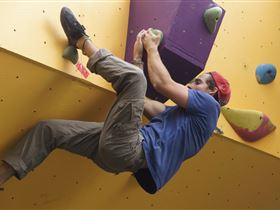 Magpie Springs - Accommodation Mount Tamborine 3