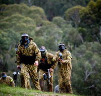 Paintball Sports - Accommodation Mount Tamborine