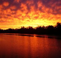 Warrego River Walk - Accommodation Mount Tamborine