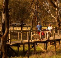 Loxton's Drives Walks and Trails - Accommodation Mount Tamborine