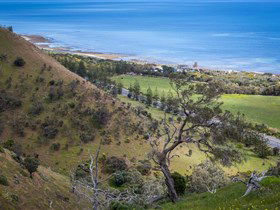 Lady Bay Beach - Accommodation Mount Tamborine 1