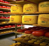 Alexandrina Cheese Company - Accommodation Mount Tamborine