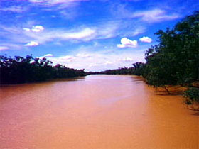 Allan Tannock Weir - Accommodation Mount Tamborine 2