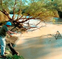 Charleville - Ward River Fishing Spot - Accommodation Mount Tamborine