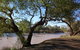 Charleville - Bakers Bend Warrego River Fishing Spot - thumb 1