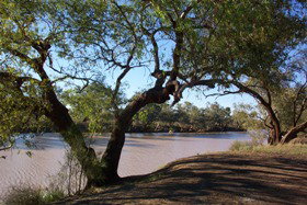 Charleville - Bakers Bend Warrego River Fishing Spot - Accommodation Mount Tamborine 1