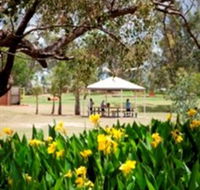 Charleville - Graham Andrews Parklands - Accommodation Mount Tamborine
