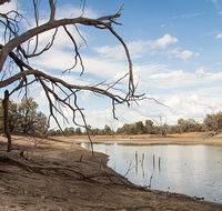 Toorale National Park - Accommodation Mount Tamborine