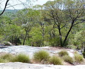 White Mountains National Park - Accommodation Mount Tamborine 0