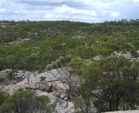 White Mountains National Park - Accommodation Mount Tamborine 1
