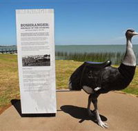 Birdman of the Coorong - Accommodation Mount Tamborine