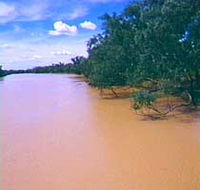 Warrego River - Accommodation Mount Tamborine