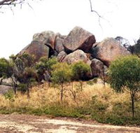 Mount Boothby Conservation Park - Accommodation Mount Tamborine
