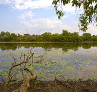 Yurmikmik Walks - Accommodation Mount Tamborine