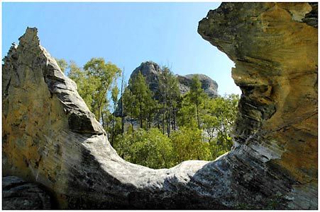 Salvator Rosa Section - Carnarvon National Park - Accommodation Mount Tamborine 1