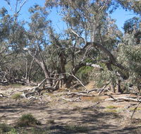 Mirri Mirru Yurun - Accommodation Mount Tamborine