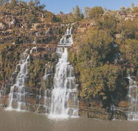 Prince Regent Nature Reserve - Accommodation Mount Tamborine