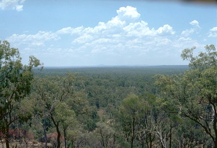 Ka Ka Mundi, Carnarvon National Park - Accommodation Mount Tamborine 1
