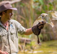 Territory Wildlife Park - Accommodation Mount Tamborine