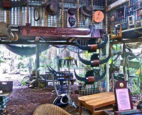 Barra Shack - Accommodation Mount Tamborine 3