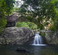 Paluma and Crystal Creek Rainforest - Accommodation Mount Tamborine