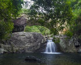 Paluma And Crystal Creek Rainforest - Accommodation Mount Tamborine 0