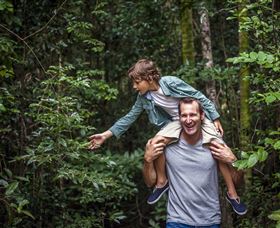 Paluma And Crystal Creek Rainforest - Accommodation Mount Tamborine 1