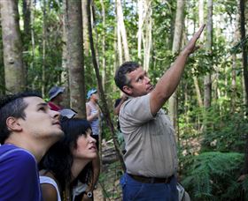 Paluma And Crystal Creek Rainforest - Accommodation Mount Tamborine 2