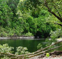 Broadwater Abergowrie State Forest - Accommodation Mount Tamborine