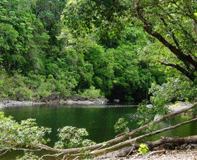 Broadwater, Abergowrie State Forest - Accommodation Mount Tamborine 0