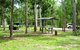 Broadwater, Abergowrie State Forest - thumb 1
