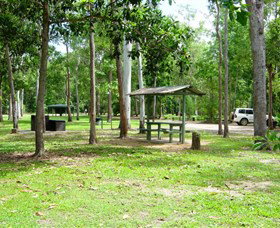 Broadwater, Abergowrie State Forest - Accommodation Mount Tamborine 1