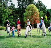 Limestone Coast Horseriding - Accommodation Mount Tamborine