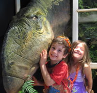 Australian Opal Centre - Accommodation Mount Tamborine