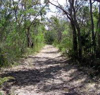 Lanky's Walk - Accommodation Mount Tamborine