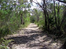 Lanky's Walk - Accommodation Mount Tamborine 0