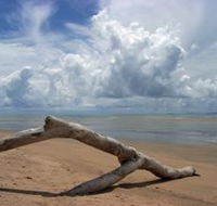 Toolakea Beach - Accommodation Mount Tamborine