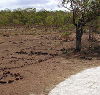 Wurrwurrwuy Garanhan Macassan Beach Interpretive Walk - Accommodation Mount Tamborine