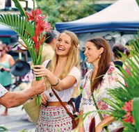 Flinders Street Shopping - Accommodation Mount Tamborine