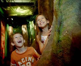 Museum Of Tropical Queensland - Accommodation Mount Tamborine 1